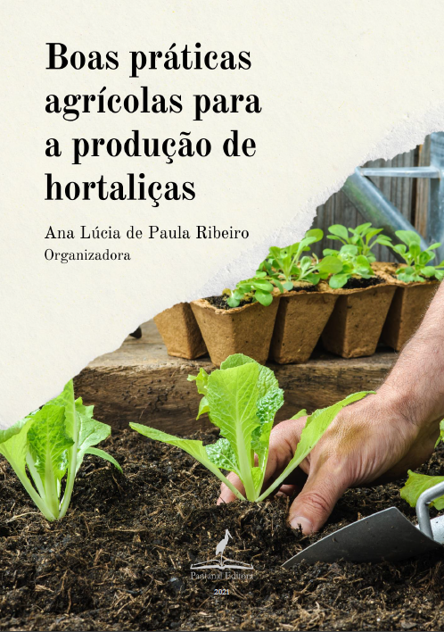 Ler e-book